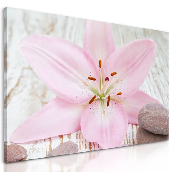 Obraz ružový kvet na drevenom podklade