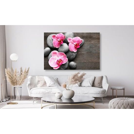 Obraz kvety orchidei na drevenom pozadí