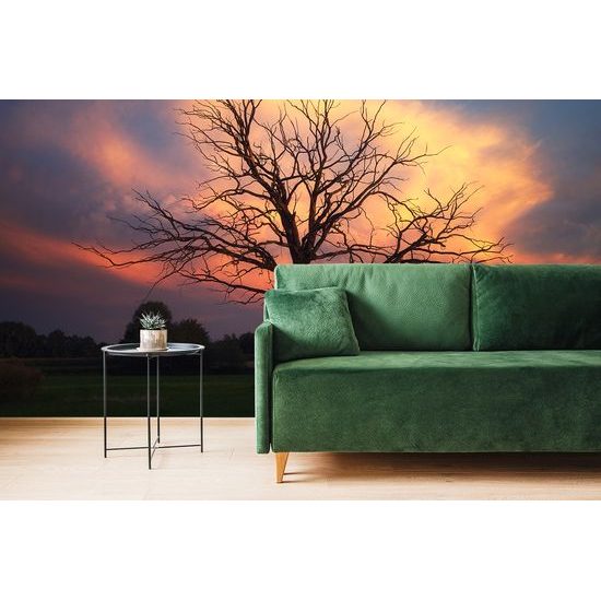 Samolepiaca fototapeta krása prírody