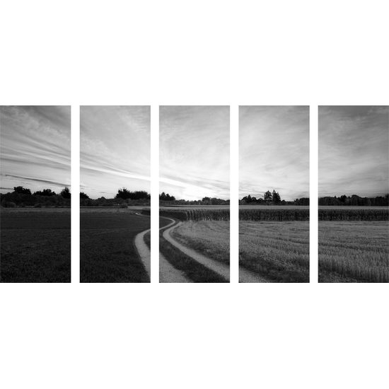 5-dielny obraz zapadajúce slnko nad krajinou v čiernobielom prevedení