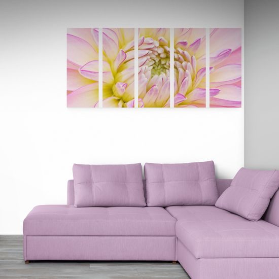 5-dielny obraz perfektný detail na kvet dálie