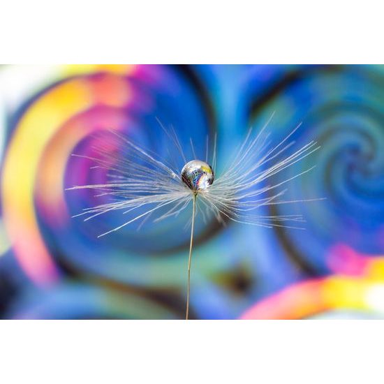 Fototapeta nádherná kvapka na farebnom pozadí