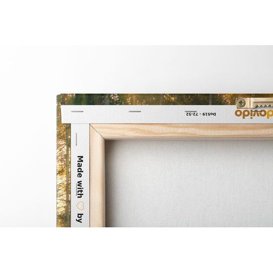 Obraz slnko vykúkajúce pomedzi stromy