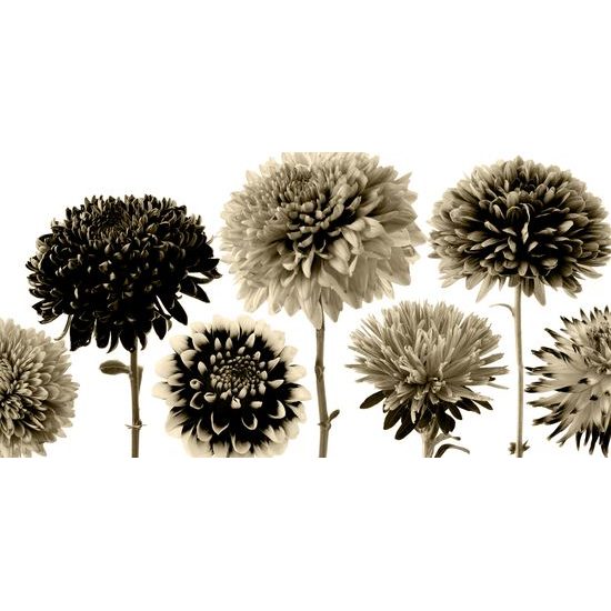 Obraz nádherné dálie v sépiovom prevedení