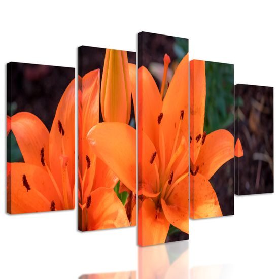 5-dielny obraz oranžová dália