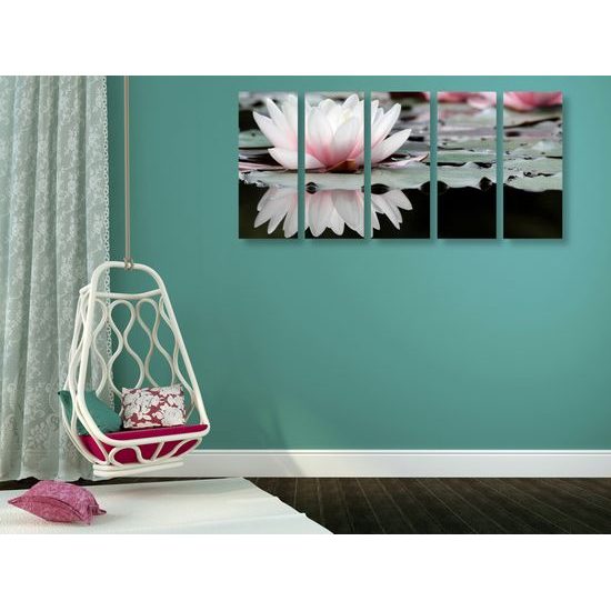 5-dielny obraz nádherné lekno