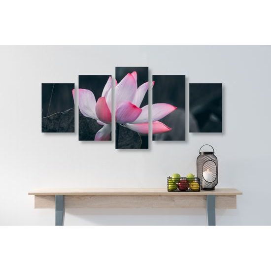 5-dielny obraz nádherny kvet