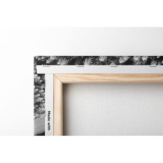 Obraz cesta cez zasnežený les v čiernobielom prevedení