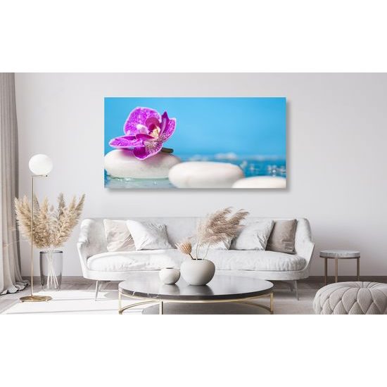 Obraz zaujímavé biele Zen kamene a kvet orchidei