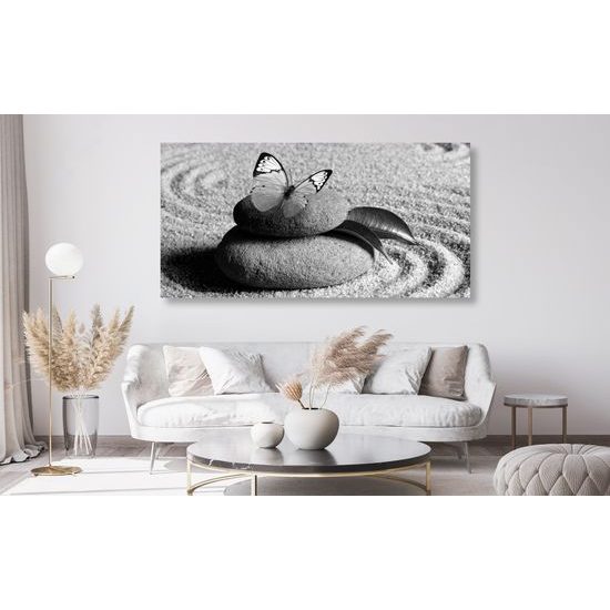 Obraz čiernobiely motýľ vo wellness zátiší