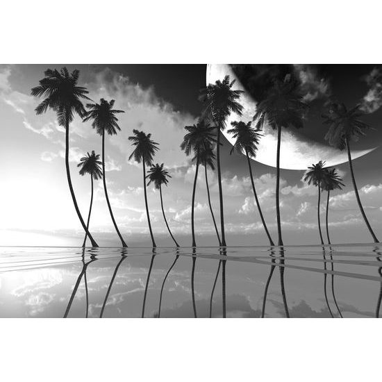 Obraz západ slnka v čiernobielom prevedení