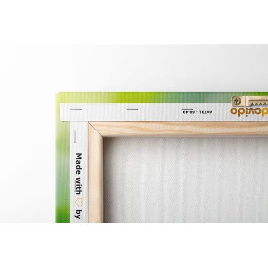 Obraz harmonický Budha