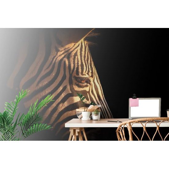 Samolepiaca fototapeta detail zebrej hlavy