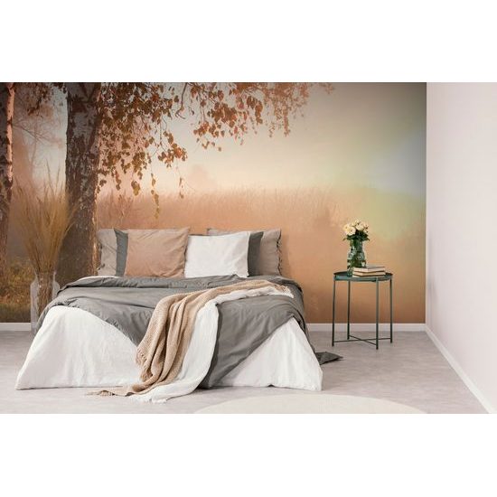 Fototapeta hmlisté ráno