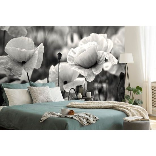 Nádherná čiernobiela samolepiaca fototapeta v objatí vlčích makov