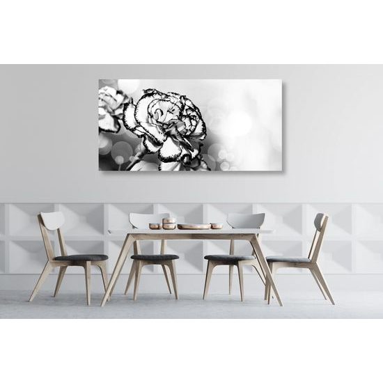 Obraz nádherný karafiát v čiernobielom prevedení