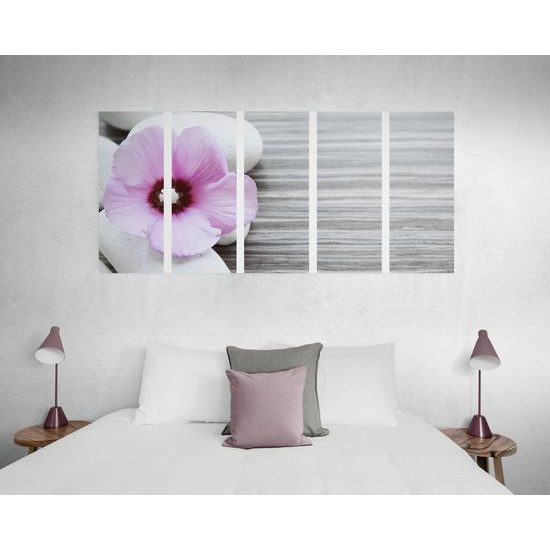 5-dielny obraz nádherný kontrast medzi kvetom a kameňmi