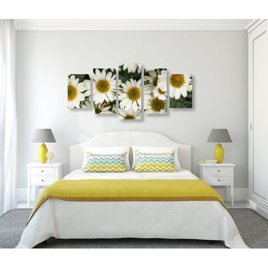 5-dielny obraz liečivý rumanček