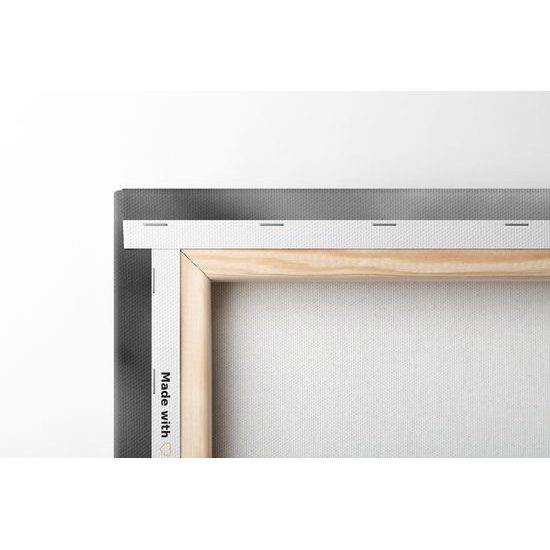 Obraz pokojný anjel v čiernobielom prevedení