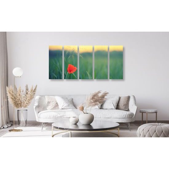5-dielny obraz osamelý vlčí mak na lúke