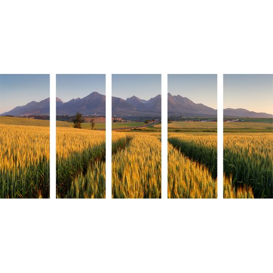 5-dielny obraz nekonečné polia