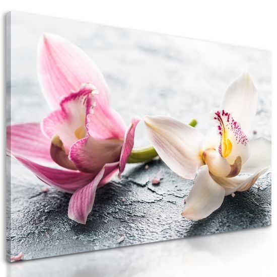 Obraz nádherné kvety orchidey