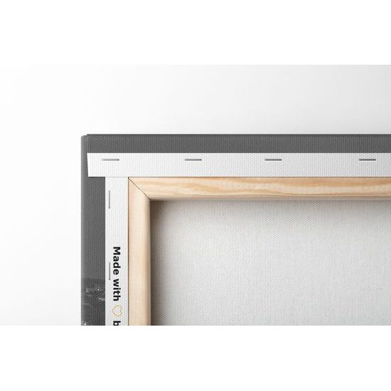 Obraz Bratislavský hrad v čiernobielom prevedení