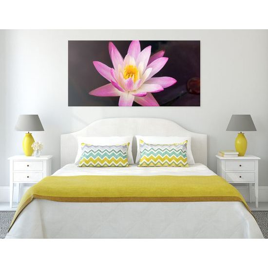 Obraz nádherný ružový lotosový kvet