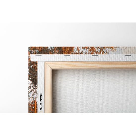 Obraz čaro ranného rybníka