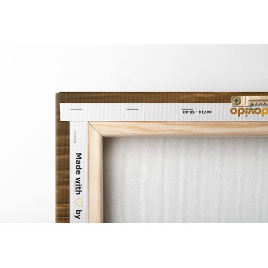 Obraz nádherná mapa sveta v hnedom prevedení