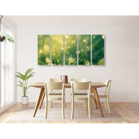 5-dielny obraz nádherná ranná lúka