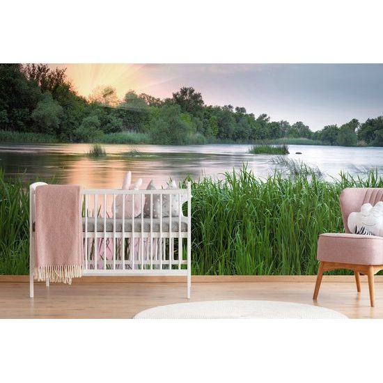 Jedinečná samolepiaca fototapeta kúzelný východ slnka