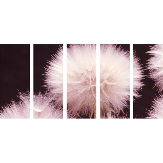 5-dielny obraz púpava v rozkvete