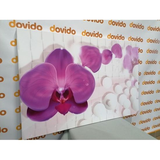 Obraz orchidea na elegantom pozadí