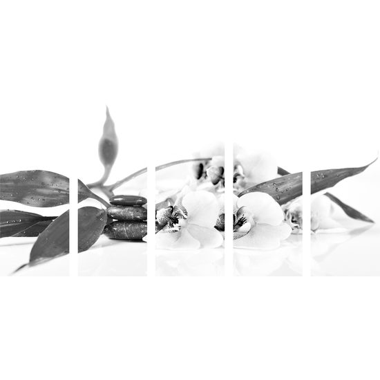 5-dielny obraz ukľudňujúce Zen zátišie s kvetmi orchidey v čiernobielom prevedení