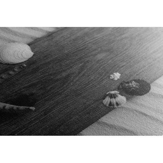 Obraz zátišie mora v čiernobielom prevedení