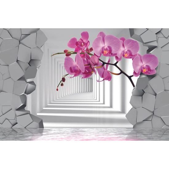 Tapeta jedinečná orchidea