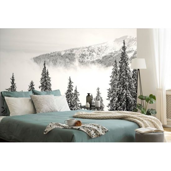 Samolepiaca fototapeta čiernobiele stromy pokryté čerstvým snehom