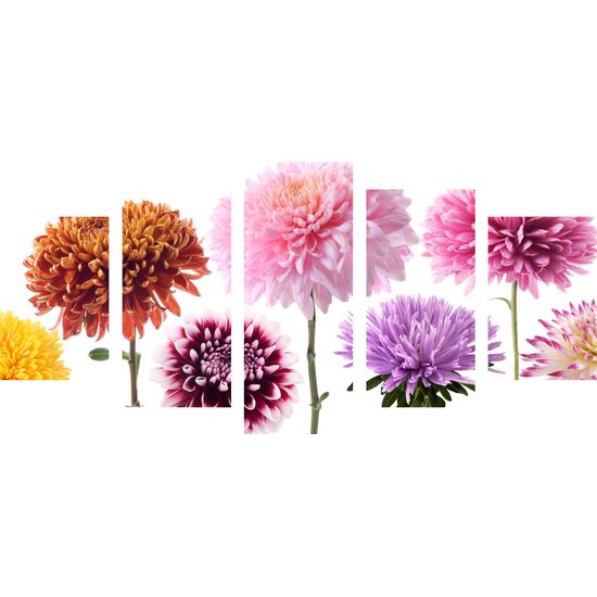 5-dielny obraz rôznofarebné kvety dálie