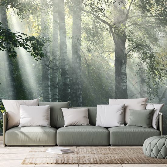 Samolepiaca fototapeta lúče slnka v lese