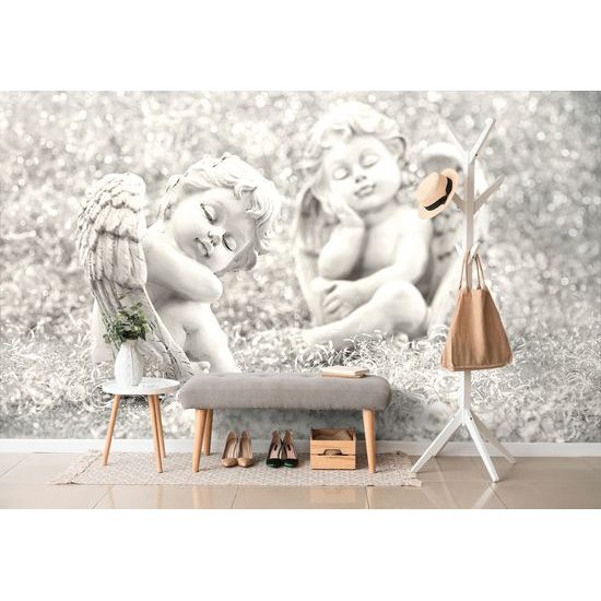 Jedinečná samolepiaca fototapeta dvojica spiacich anjelikov