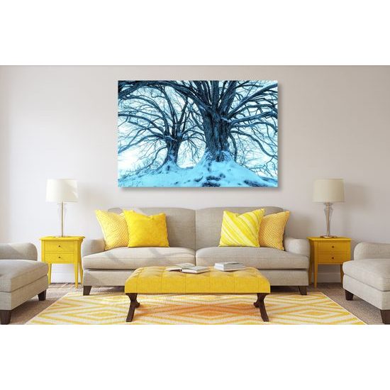 Obraz zimná krajinka