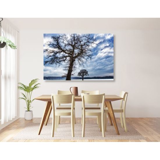 Obraz krajina zapadnutá snehom