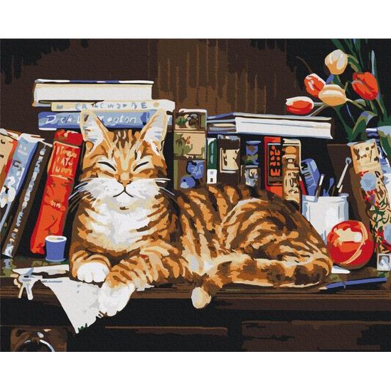 Maľovanie podľa čísiel mačka na polici s knihami