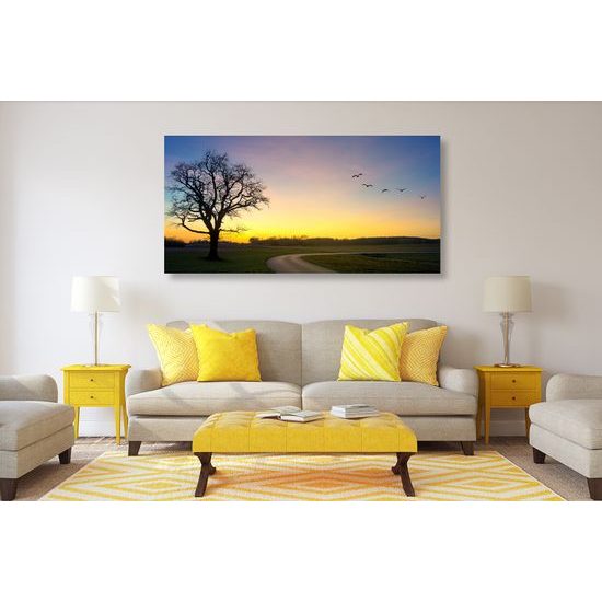 Obraz okúzľujúci západ slnka