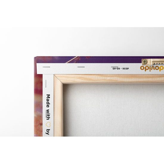 Obraz steblá trávy v lúčoch slnka