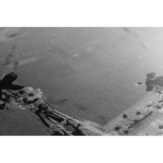 Obraz čerešňové zátišie v čiernobielom prevedení