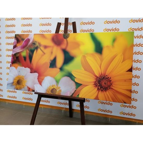 Obraz kvety v letných farbách