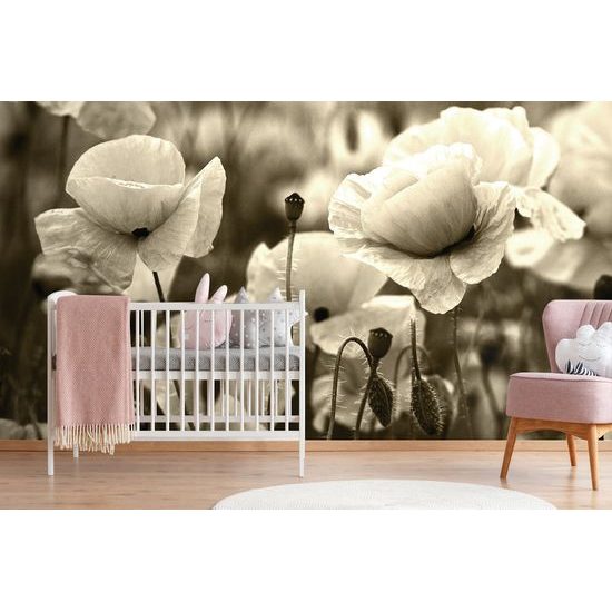 Nádherná sépiová samolepiaca fototapeta v objatí vlčích makov