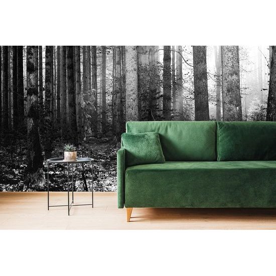 Originálna samolepiaca fototapeta čiernobiele zákutie lesa